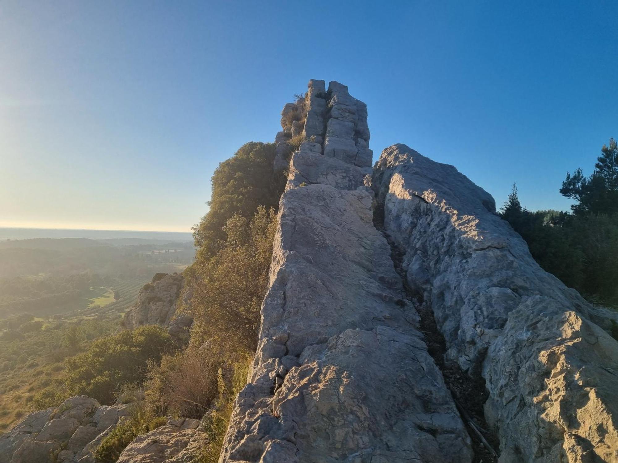 Les Garrigues de la Vallée des Baux Paradou Exterior foto