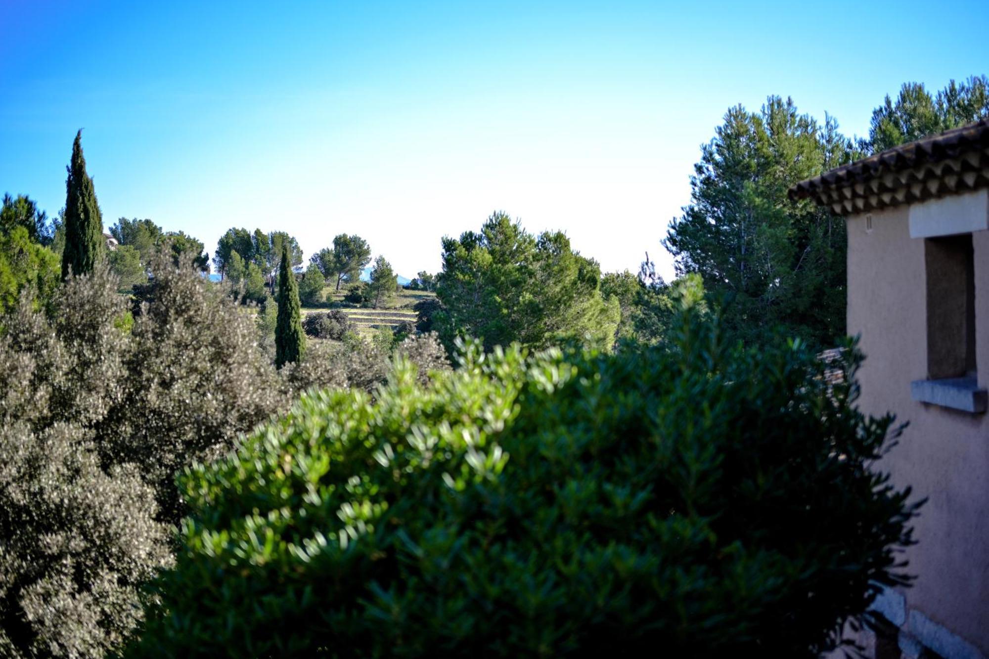 Les Garrigues de la Vallée des Baux Paradou Exterior foto