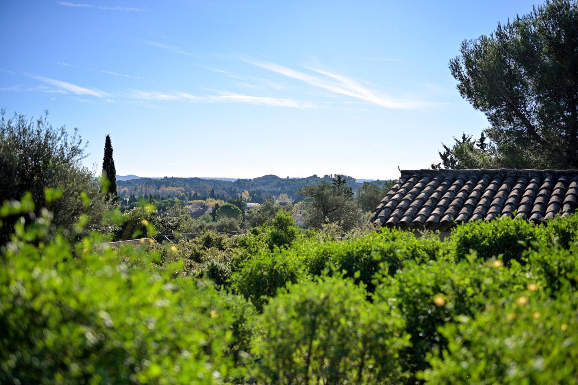 Les Garrigues de la Vallée des Baux Paradou Exterior foto