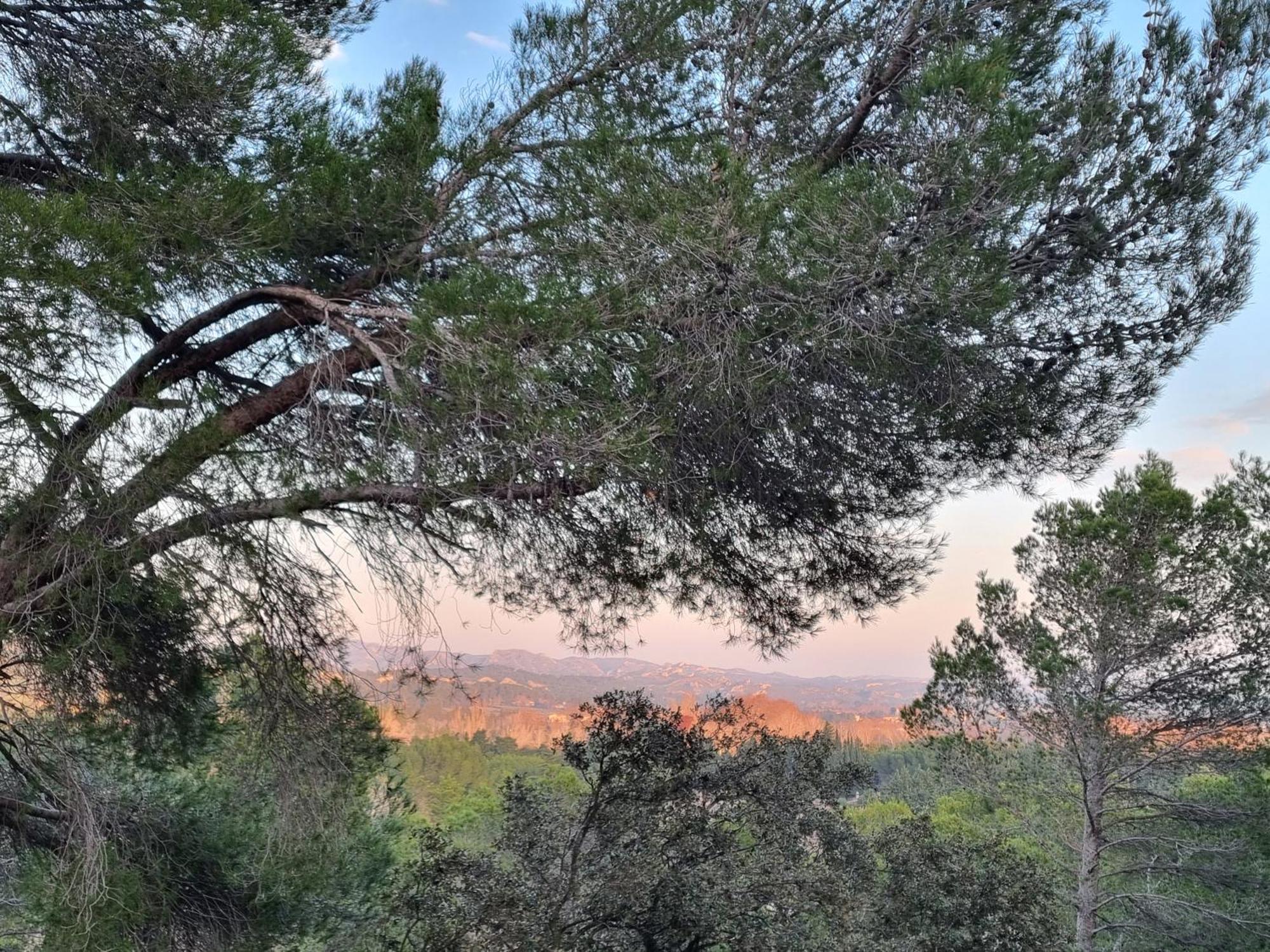 Les Garrigues de la Vallée des Baux Paradou Exterior foto