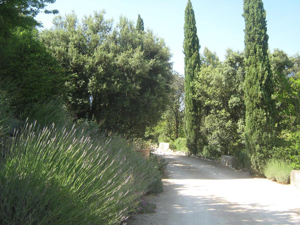 Les Garrigues de la Vallée des Baux Paradou Exterior foto